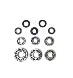 Tesla LDU Ball Bearings Replacement Kit